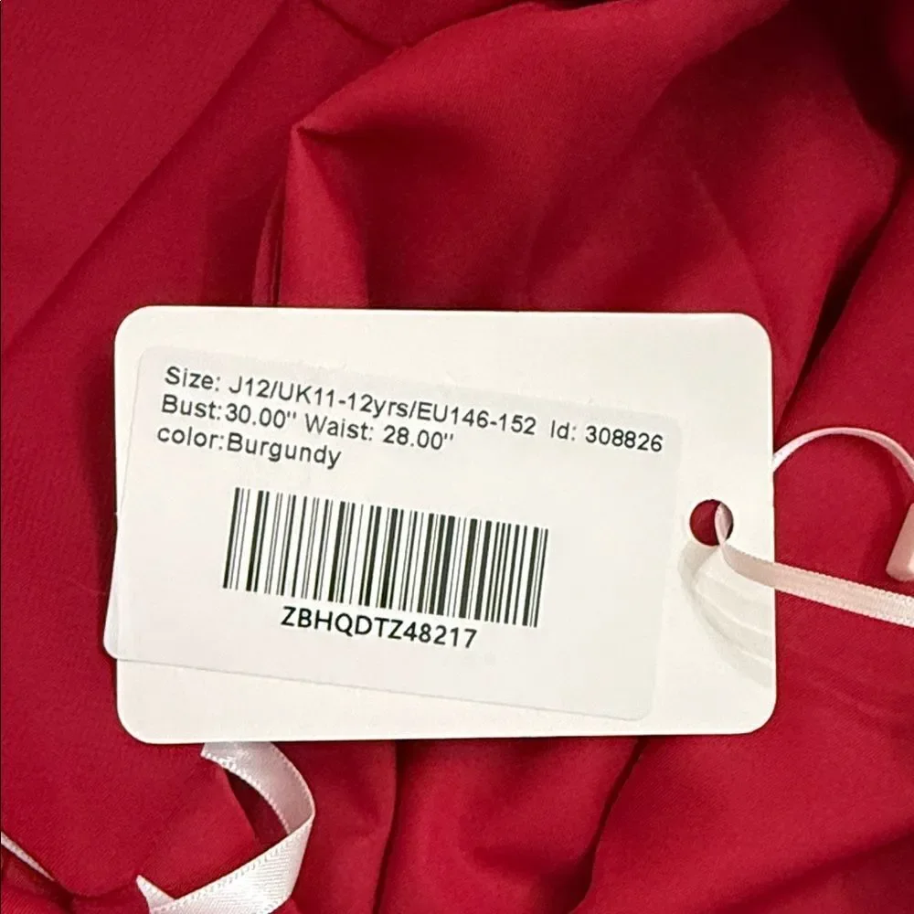 JJ’s House Burgundy Chiffon Fit & Flare Dress Youth J12 (11–12 yrs) NWT